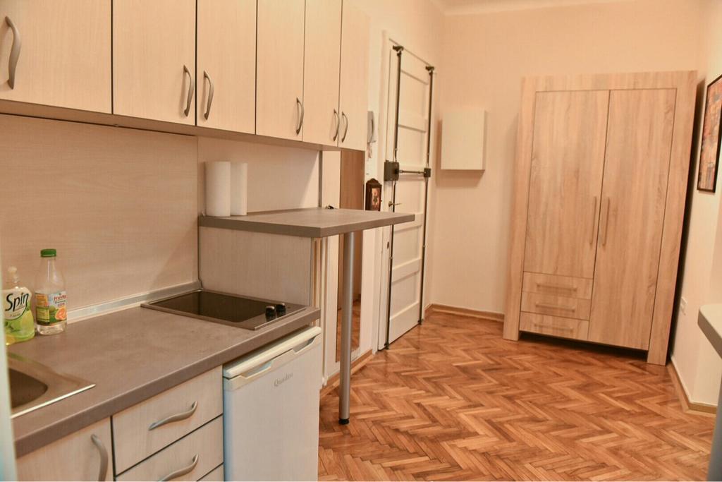 Bojan Central Apartment Novi Sad Ngoại thất bức ảnh